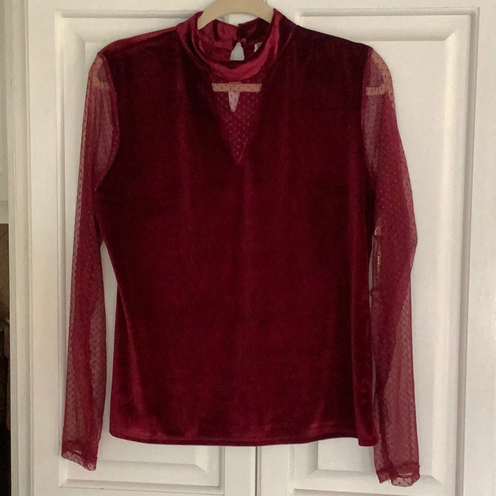 Beautiful  Velour and Lace Top
